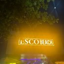 다낭 에스코 비치바 후기｜불쇼 시간, 과일, 분위기 솔직후기 🌴
