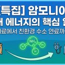 베스트프랜드태양광발전소 | 냄새나는 원료의 화려한 변신, 암모니아가 차세대 '액체 황금'이 된 이유