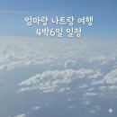 청안약국 | 엄마랑 나트랑 여행 #10_4박6일 나트랑 일정