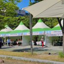 코코 | [화봉코코이비인후과] 울산 북구 쇠부리축제 주말 나들이 추천 &amp; 환절기 건강 관리 팁