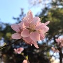 화산공원 이미지