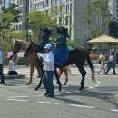 정조대왕능행차 이미지