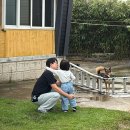 싸이버 | 바다뷰 논밭뷰 모두 감상하는 포항 화진모래알펜션 사이버카라반 후기