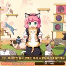 고양이다방 이미지