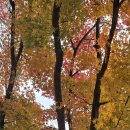 미사리 조정경기장 이미지