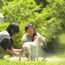 햇빛민박 이미지