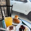 송도 애견동반카페 베이글 맛집 : 아메리칸스퀘어 후기