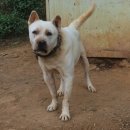 지에스농장 이미지