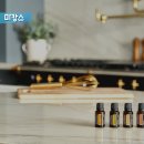 티파니테라피스웨디시