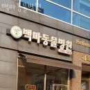 백마동물병원 이미지