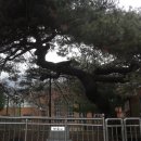 경상북도 근로자복지연수원 이미지