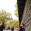 덕수궁(德壽宮),창덕궁(昌德宮),창경궁(昌慶宮) 탐방(2023-10-26)