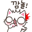 쿨체형관리 이미지