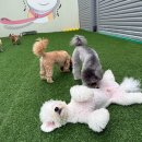 칠곡유치원 이미지