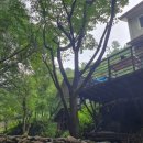 숲속다람쥐펜션 이미지