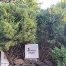 모모맘하우스 이미지