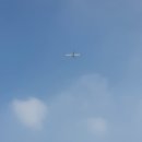 서해박속낙지전문점 이미지