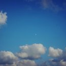 한빛소프트홀딩스 이미지