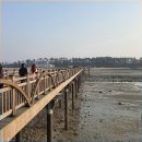 돌머리슈퍼 이미지