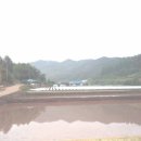 덕재로 | 2007.5.20. 연두빛 그리움으로 ...낙동7구간 (남진)덕재 ~ 아래허리재