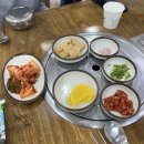 서산김밥 | 서산 콩뜰애 콩나물국밥 김밥맛집 서산석림점 후기