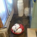 크린파워 이미지