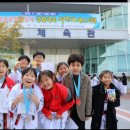 올림픽석사태권도 이미지