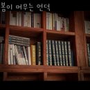성남 서현동 맥주 봄이 머무는 언덕 업체 정보 후기