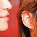 독일렉스톤보청기 의정부점 이미지