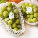 원씨네농장 이미지