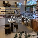 동남안경 | 청주 안경 동남지구 모도리안경 내돈내산 후기