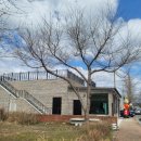 복내면행정복지센터 이미지