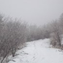 영주가스충전소 이미지