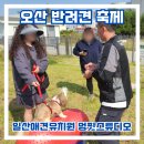 멍 핏 스튜디오 이미지