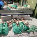 [Mondo] 단전으로 인큐베이터서 꺼내진 가자지구 아기들 이미지
