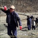 동채 이미지