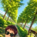 서나헤어+ | 서나헤어