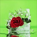 사진예술 이미지