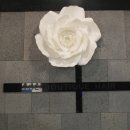 더부띠끄왕십리점