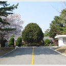 구 진해요항부 병원 Daum카페