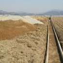 선영농장 이미지