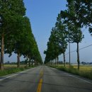 거전마을 이미지