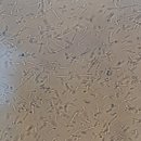 (주)운트바이오 이미지