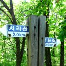 더초록 이미지