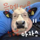 SG PC방 | Nov / 그게 되나 적당히 좋아하는게