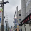 다시사랑받개 | [중랑구 유기견 카페_다시사랑받개]_이렇게 귀여운데 어떻게 참아요!!!