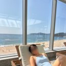 진해항운 노동조합 | 연휴일기 | 롤링힐스, 그랜드 조선 부산, 미사경정공원