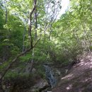 유천리 삼거리 이미지