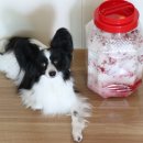 (주)덴탈마켓 이미지