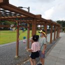 제주 무료전시 _예술곶산양 산양시선2 사전예약후 방문하세요!